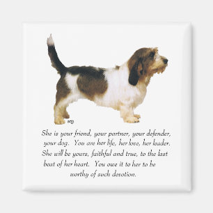 Aimant Petit Basset Griffon Vendéen femelle