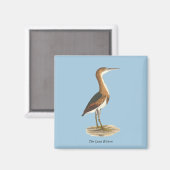 Aimant Petit Bittern (Ixobrychus exilis) Oiseaux de New Y (Recto/Verso)