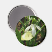 Aimant Petit blanc sur neige (Recto/Verso)