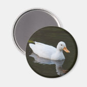 Aimant Petit canard blanc (Recto/Verso)