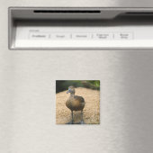 Aimant Petit canard curieux (In Situ (Lave-vaisselle))