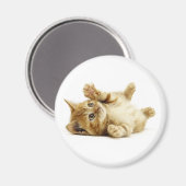 AIMANT PETIT CHAT (Recto/Verso)