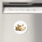 AIMANT PETIT CHAT (In Situ (Lave-vaisselle))