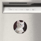 Aimant Petit chaton blanc (In Situ (Lave-vaisselle))