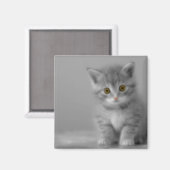 Aimant Petit chaton doux (Recto/Verso)