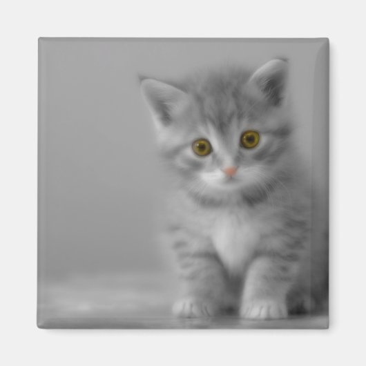Aimant Petit chaton doux (Devant)