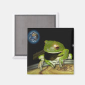 AIMANT PETIT CHEMIN VERT (Recto/Verso)