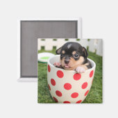 Aimant Petit chien dans la tasse (Recto/Verso)