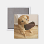 Aimant Petit chiot de récupération Labrador avec glisseur (Recto/Verso)