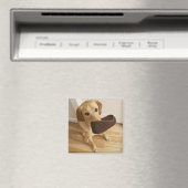 Aimant Petit chiot de récupération Labrador avec glisseur (In Situ (Lave-vaisselle))
