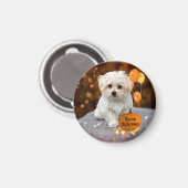 Aimant Petit chiot maltais mignon et mou célèbre Hallowee (Recto/Verso)