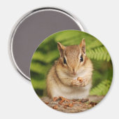 Aimant petit chipmunk (Recto/Verso)