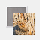 Aimant Petit-duc de l'Est (Recto/Verso)