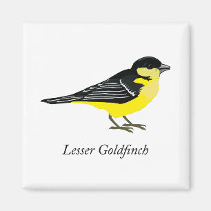 Aimant Petit goldfinch