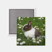Aimant Petit lapin Brown et blanc en fleurs (Recto/Verso)