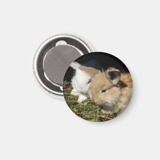 Aimant Petit lapin moelleux (Recto/Verso)