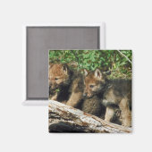 Aimant Petit loup de bois (Recto/Verso)