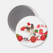 Aimant Petit Papillon Chien Noël Santa Hat (Recto/Verso)