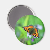 Aimant Petit papillon Tortoiseshell (Recto/Verso)