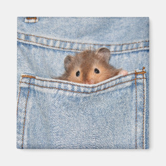 Aimant petit peekaboo