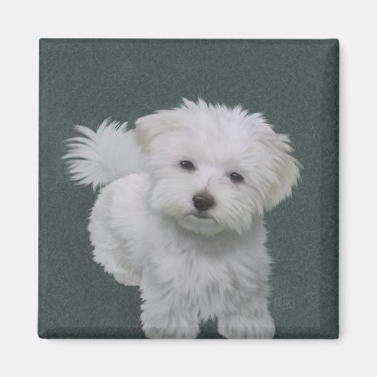 Aimant Petit portrait de chien blanc (Devant)