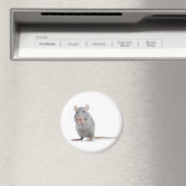 Aimant petit rat (In Situ (Lave-vaisselle))