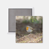 Aimant Petit robin doux (Recto/Verso)