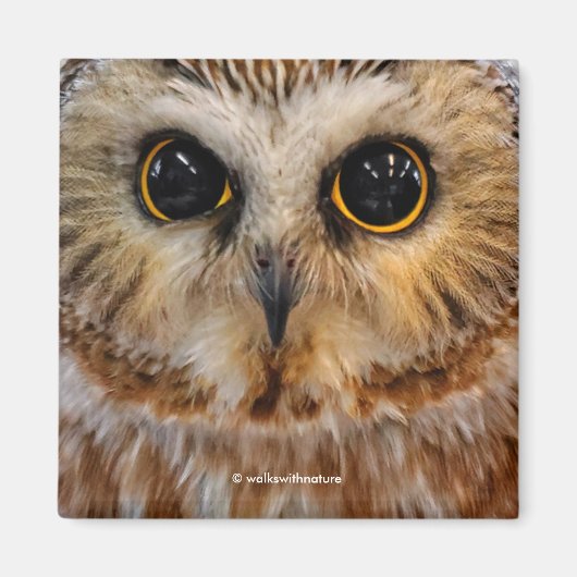 Aimant Petite Chouette blanche de Vache du Nord (Devant)