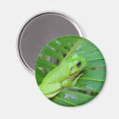 Aimant Petite grenouille verte (Recto/Verso)