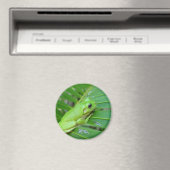Aimant Petite grenouille verte (In Situ (Lave-vaisselle))