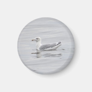 Aimant Petite mouette