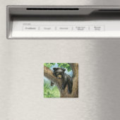 Aimant Petite Ours Lazy (In Situ (Lave-vaisselle))