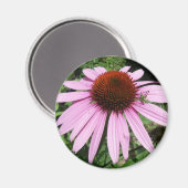 Aimant Petite sauterelle sur une fleur violette (Recto/Verso)