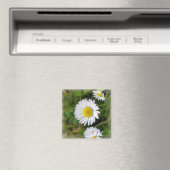 Aimant Petites marguerites (In Situ (Lave-vaisselle))
