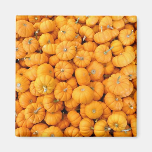 Aimant Petits Citrouilles de récolte de automne orange (Devant)