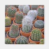 Aimant Petits plantes de cactus (Devant)