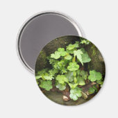 Aimant Petits verts (Recto/Verso)