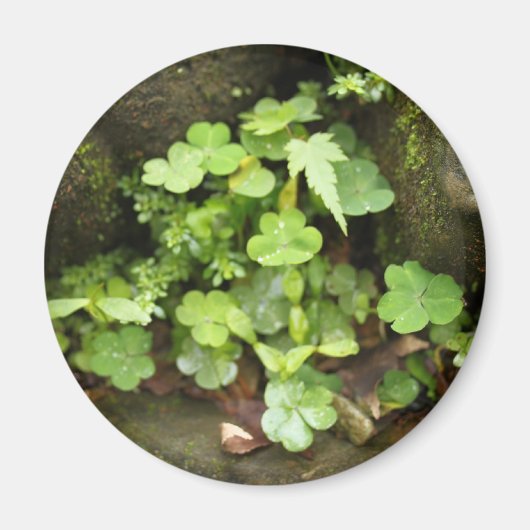 Aimant Petits verts (Devant)