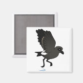 Aimant Pétrel orageux de Leach (flutter) (Recto/Verso)