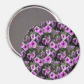Aimant Petunia Land... (Recto/Verso)