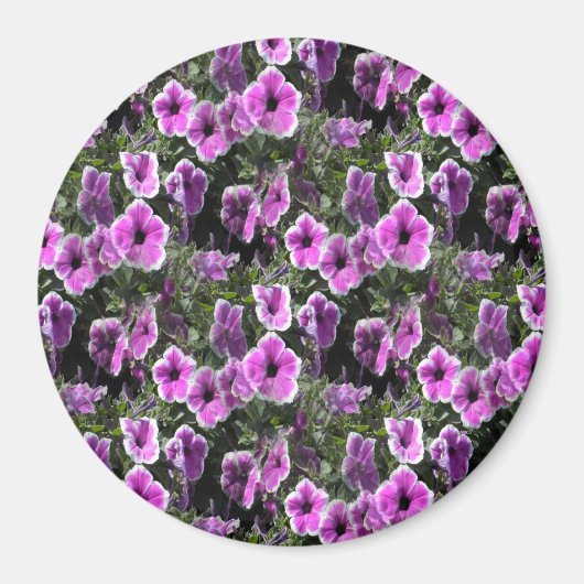 Aimant Petunia Land... (Devant)