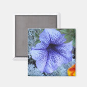 Aimant Petunia pourpre (Recto/Verso)