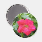 Aimant Pétunia rose (Recto/Verso)