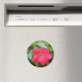 Aimant Pétunia rose (In Situ (Lave-vaisselle))