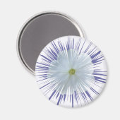 Aimant Petunia Starburst (Recto/Verso)