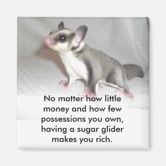 Aimant Peu importe le peu d'argent et la vie... (Devant)