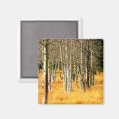 aimant peuplier (Recto/Verso)