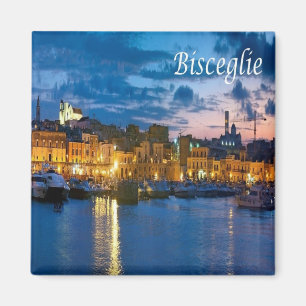 Aimant PGL038 BISCEGLIE, Pouilles, Italie, Frigo