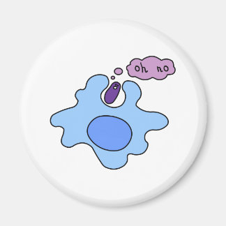 Aimant Phagocytose des bactéries