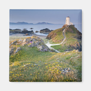 Aimant Phare de MAWR de Twr sur l'île de Llanddwyn